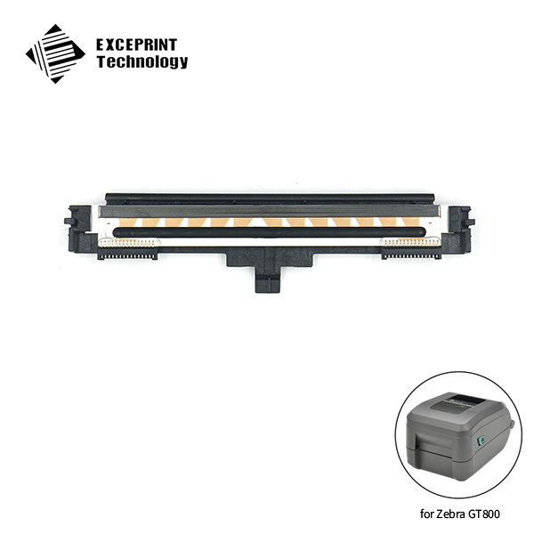 Printhead, 300dpi for Zebra GT800 (P1073117-007)